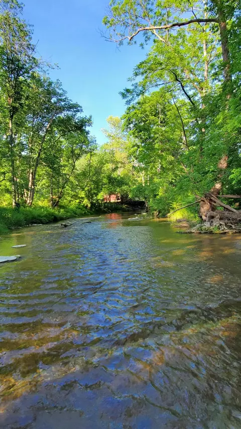 2875 Pointer Creek Rd, Science Hill, KY 42553 photo 2