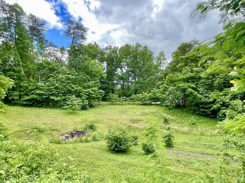 106 Lakeshore Rd, Burnside, KY 42519 photo 16