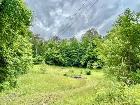 106 Lakeshore Rd, Burnside, KY 42519 photo 15