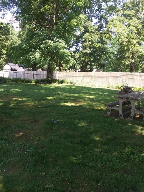 206 Persimmon, Corbin, KY 40701 photo 24