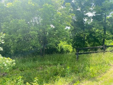 747 Wright Rd, Frankfort, KY 40601 photo 19