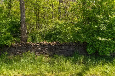 1270 Levy Rd, Paris, KY 40361 photo 9