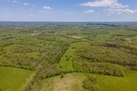 1270 Levy Rd, Paris, KY 40361 photo 6