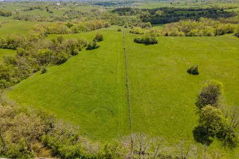 1270 Levy Rd, Paris, KY 40361 photo 4