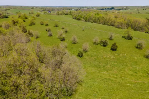1270 Levy Rd, Paris, KY 40361 photo 3