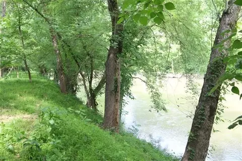 2381 Dal Rd, Williamsburg, KY 40769 photo 39