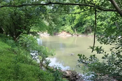 2381 Dal Rd, Williamsburg, KY 40769 photo 40