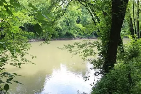 2381 Dal Rd, Williamsburg, KY 40769 photo 5