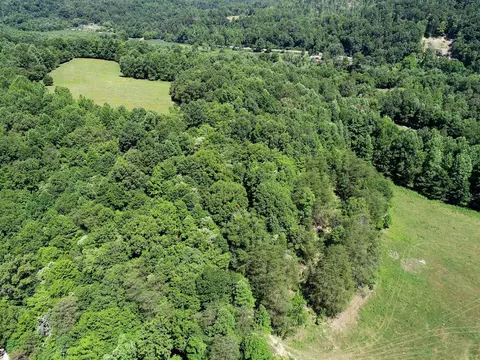 2381 Dal Rd, Williamsburg, KY 40769 photo 66