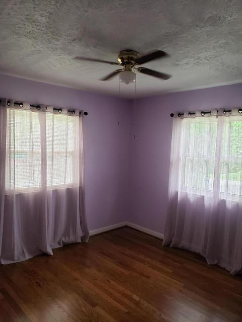 313 Springhill Dr, Paris, KY 40361 photo 10