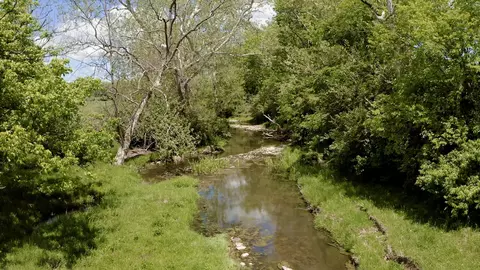 656 Escondida Rd, Paris, KY 40361 photo 5