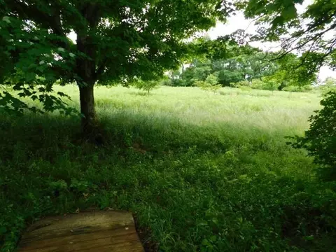 1599 Pea Ridge Rd, Augusta, KY 41002 photo 17