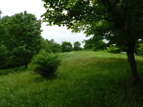 1599 Pea Ridge Rd, Augusta, KY 41002 photo 18