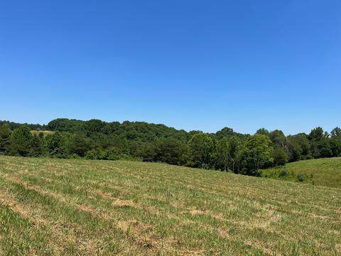 250 Donahue Rd, Williamsburg, KY 40769