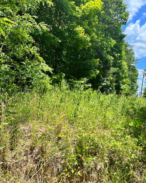 450 Mckee Ln, Burnside, KY 42519 photo 9