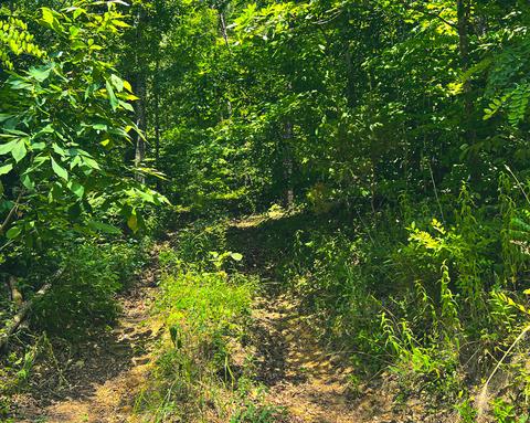 450 Mckee Ln, Burnside, KY 42519 photo 8