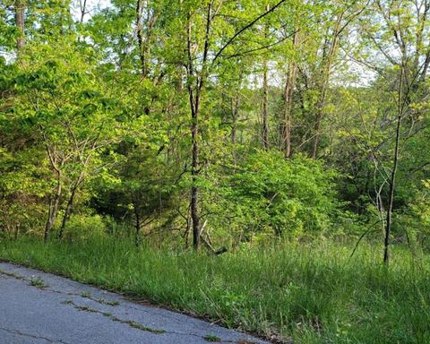 450 Mckee Ln, Burnside, KY 42519 photo 4