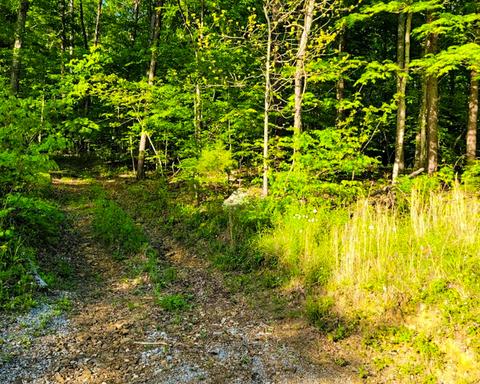 450 Mckee Ln, Burnside, KY 42519 photo 6