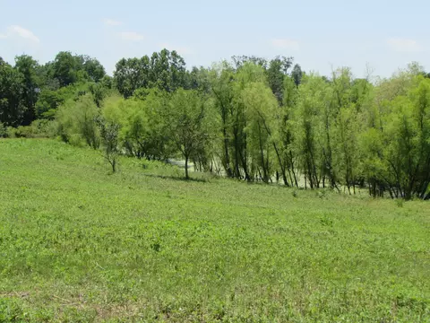 852 Austerlitz Rd, Paris, KY 40361 photo 36