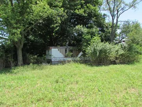 852 Austerlitz Rd, Paris, KY 40361 photo 42