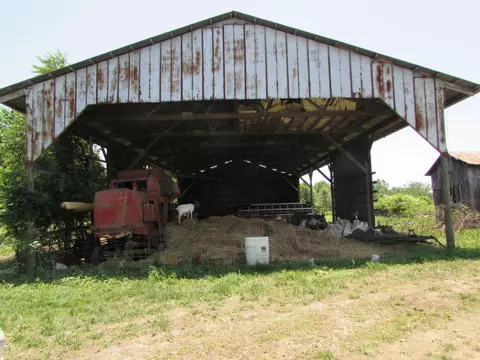 852 Austerlitz Rd, Paris, KY 40361 photo 34