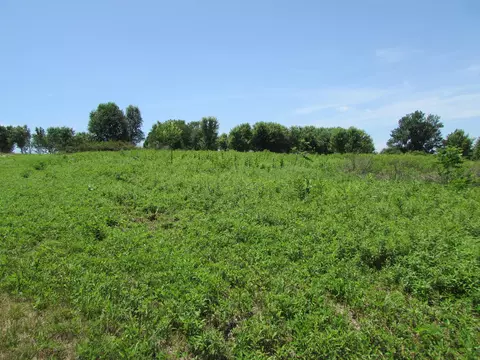852 Austerlitz Rd, Paris, KY 40361 photo 3