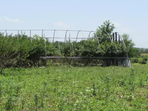 852 Austerlitz Rd, Paris, KY 40361 photo 41