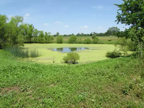 852 Austerlitz Rd, Paris, KY 40361 photo 38