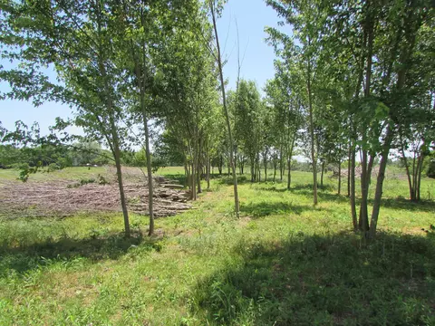 852 Austerlitz Rd, Paris, KY 40361 photo 4