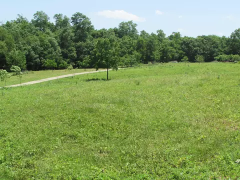 852 Austerlitz Rd, Paris, KY 40361 photo 2