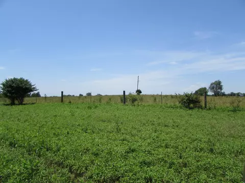 852 Austerlitz Rd, Paris, KY 40361 photo 5