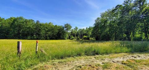 630 Deering Rd, Corbin, KY 40701 photo 4