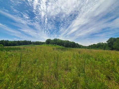 9999 Dewey Mcwhorter Rd, Booneville, KY 41314