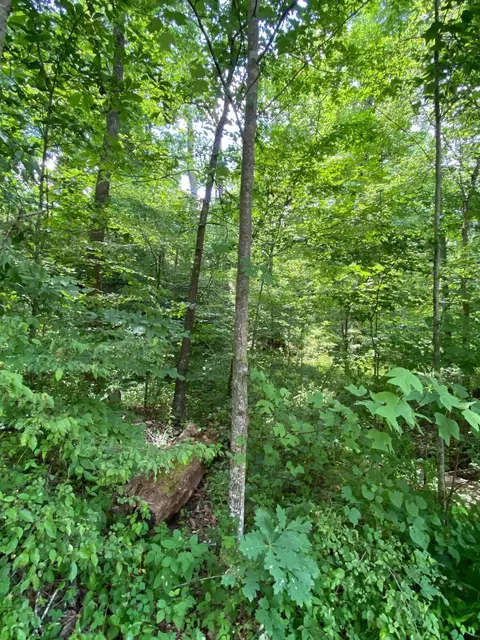 191 Dow Adkins Ln, Corbin, KY 40701 photo 11