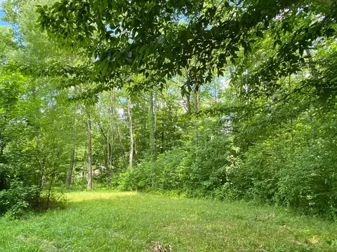 191 Dow Adkins Ln, Corbin, KY 40701 photo 3