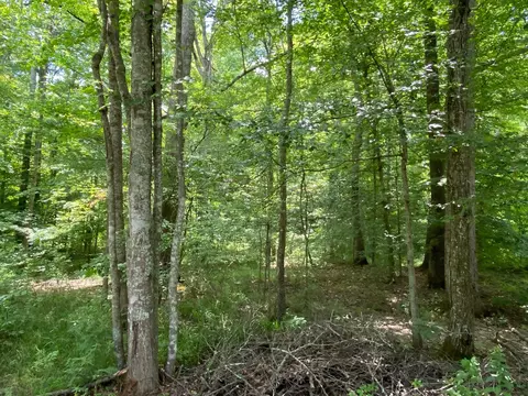 191 Dow Adkins Ln, Corbin, KY 40701 photo 6