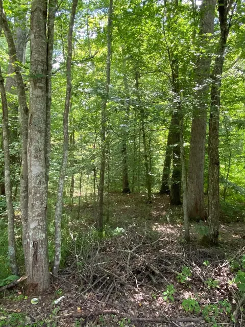 191 Dow Adkins Ln, Corbin, KY 40701 photo 13