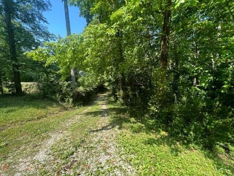 684 Spring Branch Rd, Nancy, KY 42544 photo 26