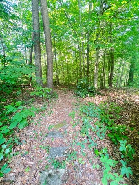 684 Spring Branch Rd, Nancy, KY 42544 photo 22