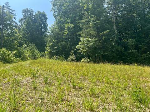 684 Spring Branch Rd, Nancy, KY 42544 photo 28