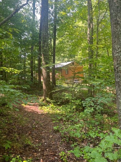 684 Spring Branch Rd, Nancy, KY 42544 photo 25