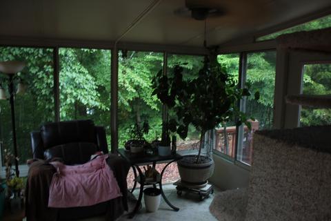 102 Shepperd Ln, Nancy, KY 42544 photo 24