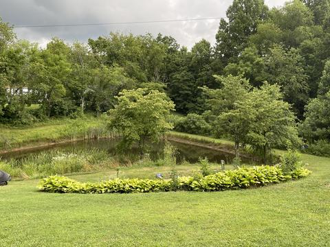 64 Abbott Rd, Lily, KY 40740 photo 12