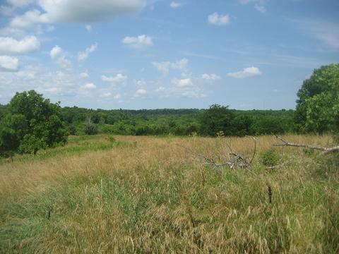 905 Alford Rd, Salvisa, KY 40372