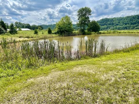 3670 Patsy Riffe Rd, Middleburg, KY 42541 photo 5
