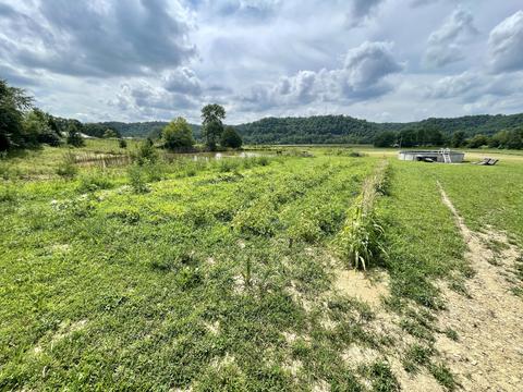 3670 Patsy Riffe Rd, Middleburg, KY 42541 photo 71
