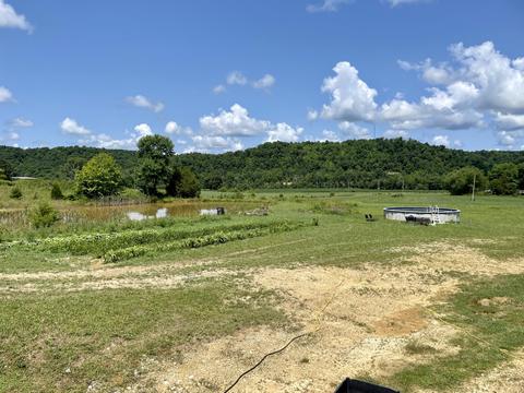 3670 Patsy Riffe Rd, Middleburg, KY 42541 photo 69