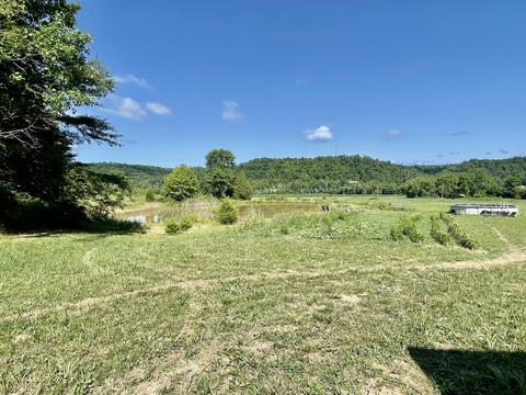3670 Patsy Riffe Rd, Middleburg, KY 42541 photo 70