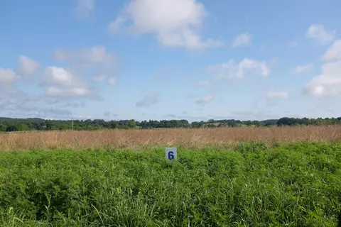 95 Squirrel Path, East Bernstadt, KY 40729