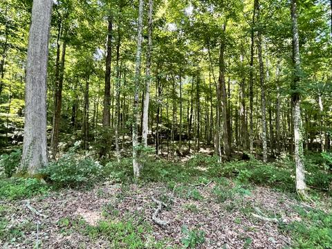 3007 Roberts Bend Rd, Burnside, KY 42519 photo 9